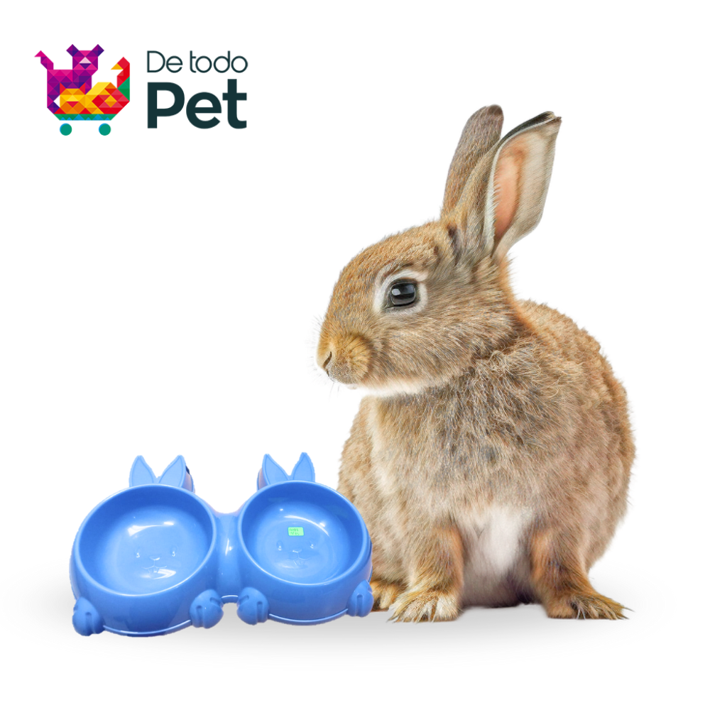 REY CAN PLATO PLASTICO CONEJO