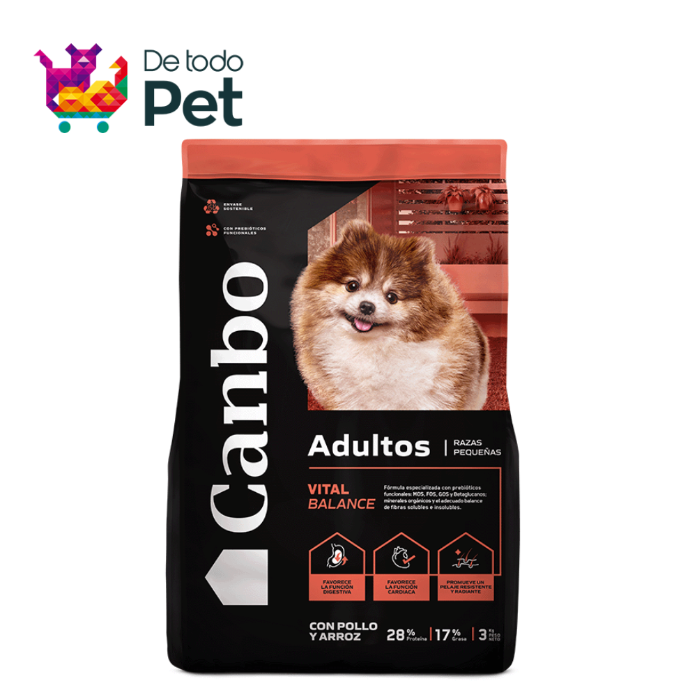 CANBO ADULTO DE POLLO RAZA PEQUEÑA 