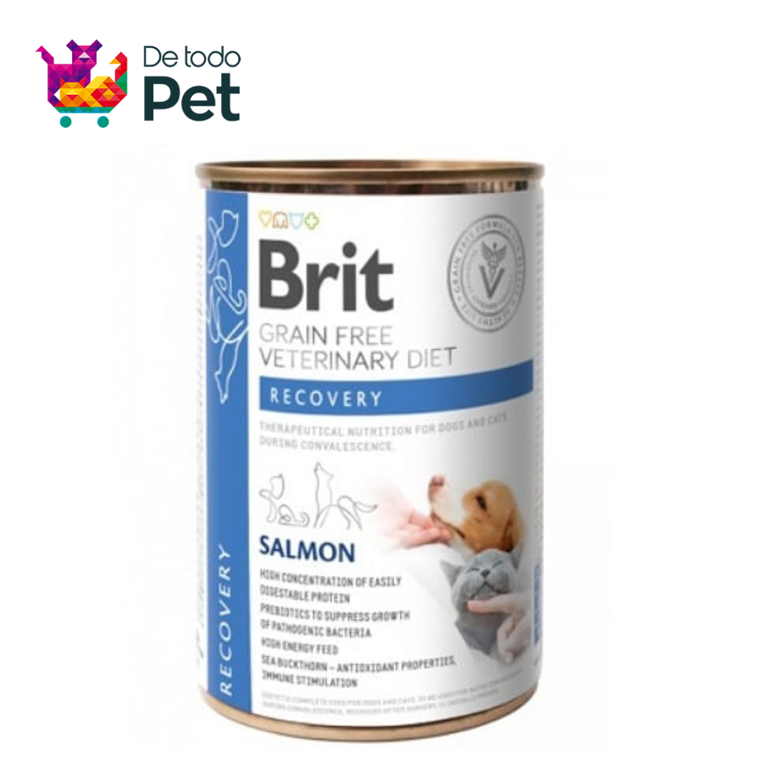 BRIT VET DIETS DOG/CAT CANNED RECOVERY