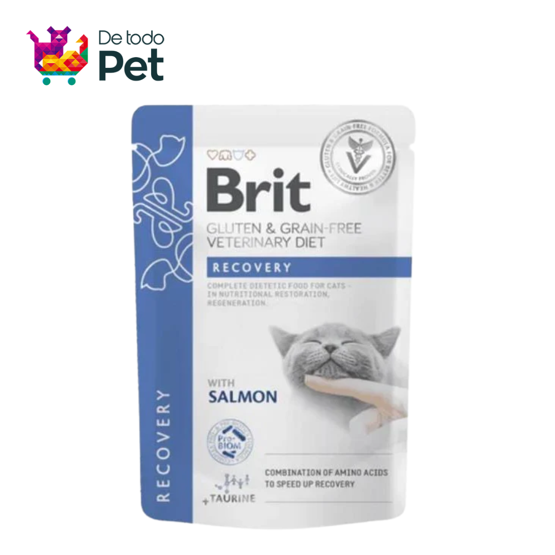 BRIT VET DIETS CAT POUCH FILLETS IN GRAVY RECOVERY