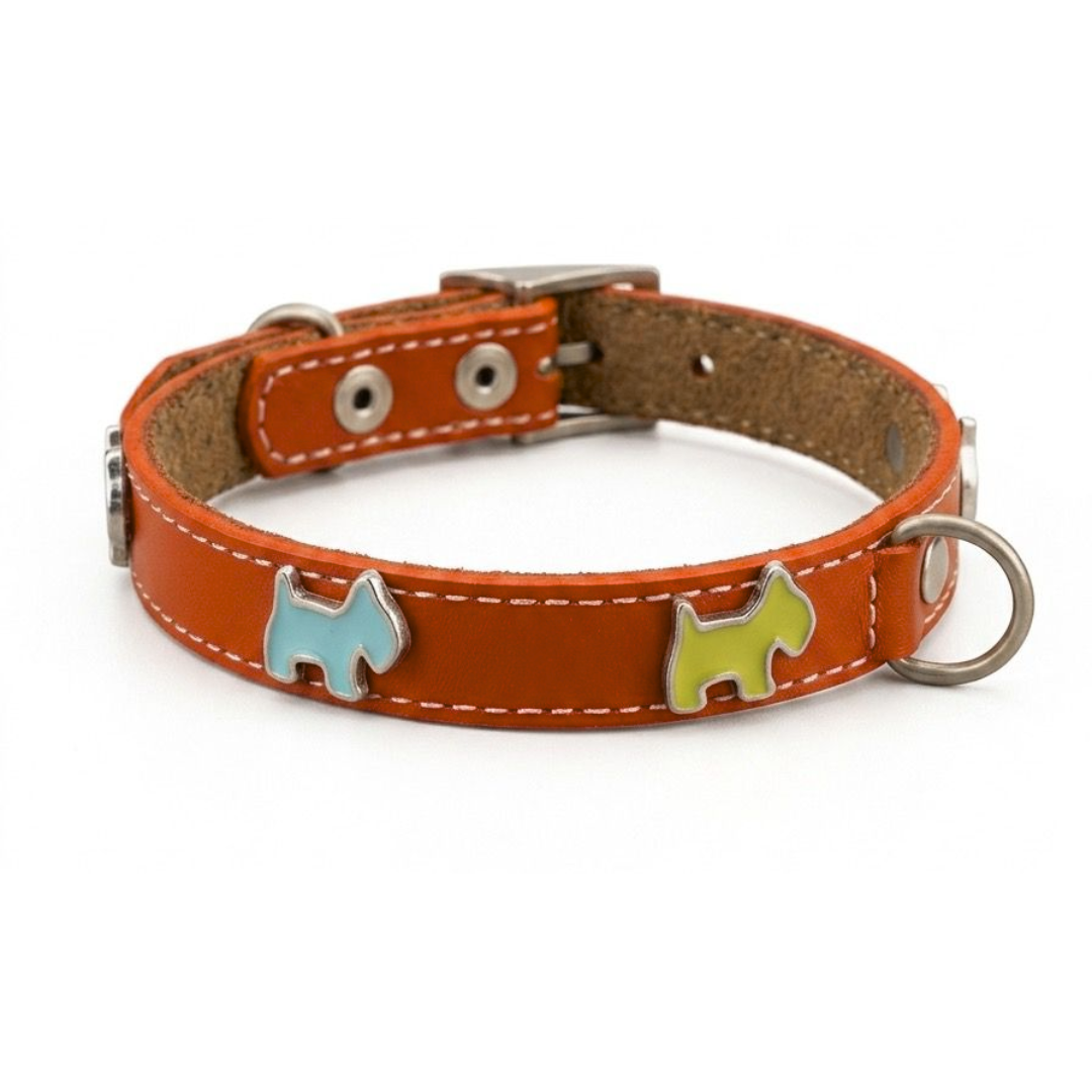 REY CAN COLLAR PERRITOS DE COLORES TALLA 1 